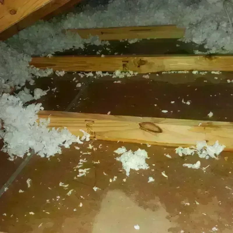 Attic Water Damage in La Porte, TX